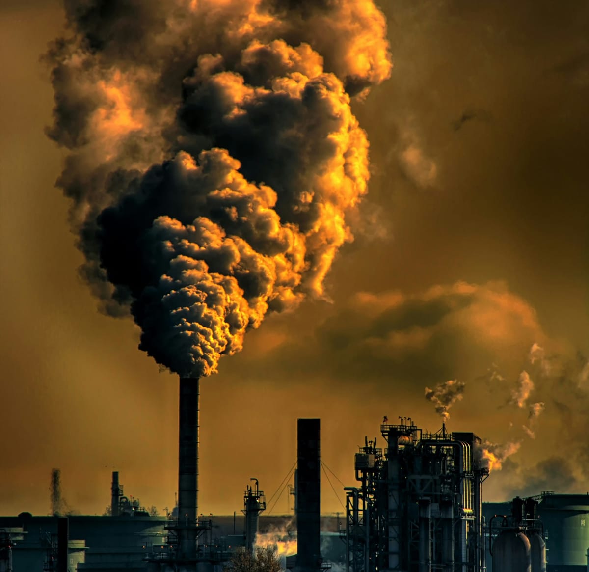 The Earth's Hidden Carbon Sink: A Voyage to Discover the Ocean Floor’s Secrets