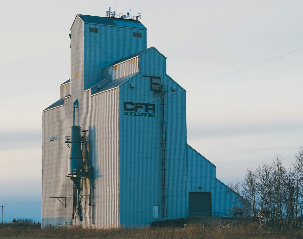 The Hidden Cost of Convenience: Industrial Animal Agriculture as a Primary Driver of Water Pollution